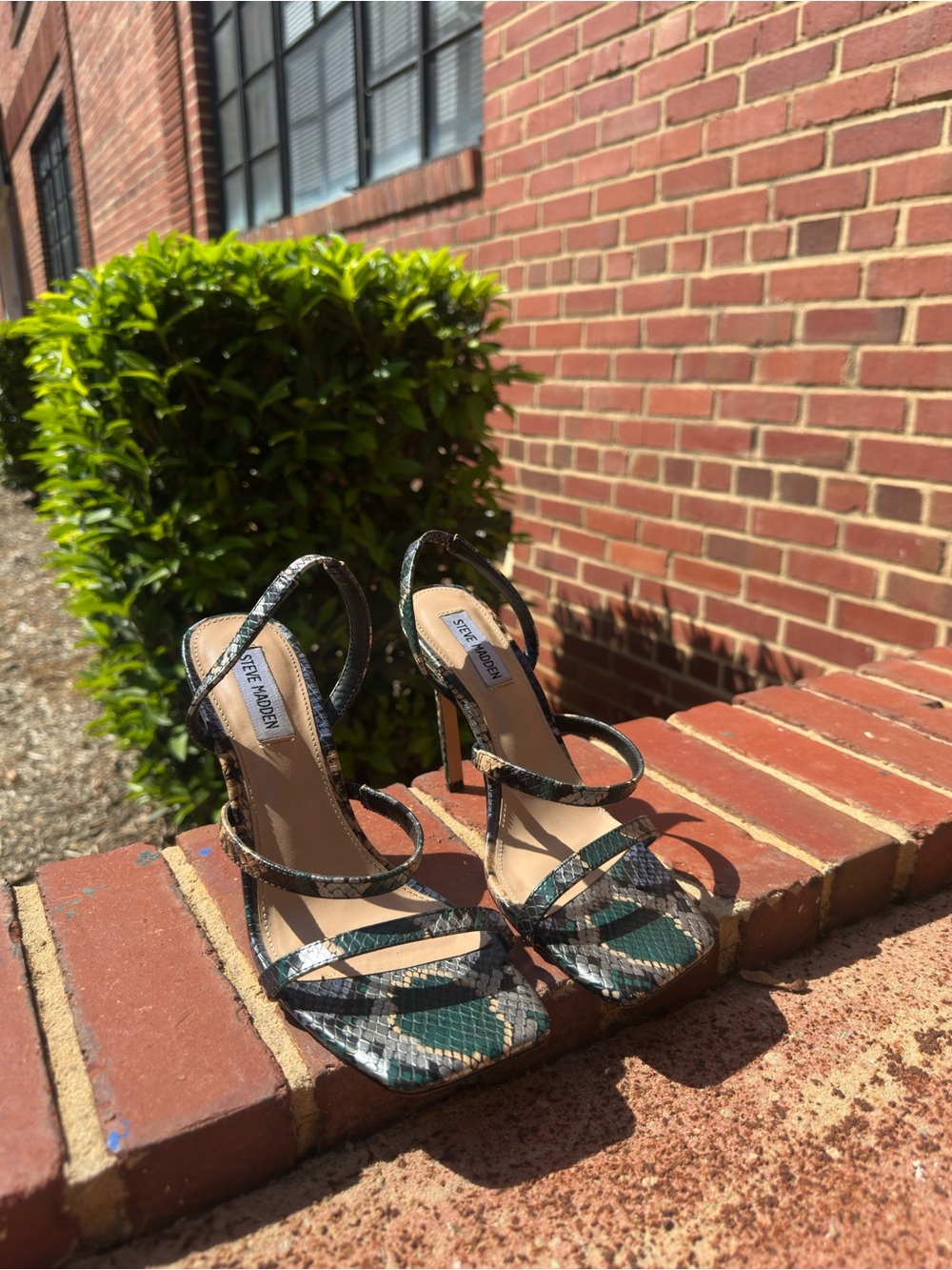 Steve Madden Snakeskin Slingback Heels Green Square Toe Stiletto